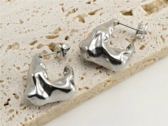 HY Wholesale Jewelry Earrings 316L Stainless Steel Earrings Jewelry-HY0082E0190