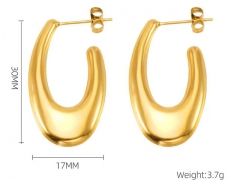 HY Wholesale Jewelry Earrings 316L Stainless Steel Earrings Jewelry-HY0082E0012