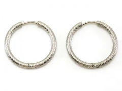 HY Wholesale Jewelry Earrings 316L Stainless Steel Earrings Jewelry-HY0082E0022