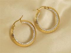 HY Wholesale Jewelry Earrings 316L Stainless Steel Earrings Jewelry-HY0082E0435