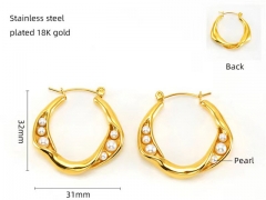 HY Wholesale Jewelry Earrings 316L Stainless Steel Earrings Jewelry-HY0082E0290