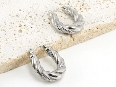 HY Wholesale Jewelry Earrings 316L Stainless Steel Earrings Jewelry-HY0082E0539