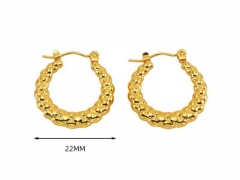 HY Wholesale Jewelry Earrings 316L Stainless Steel Earrings Jewelry-HY0082E0731