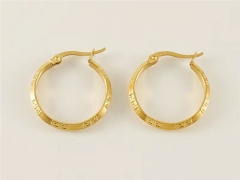 HY Wholesale Jewelry Earrings 316L Stainless Steel Earrings Jewelry-HY0082E0665