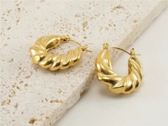 HY Wholesale Jewelry Earrings 316L Stainless Steel Earrings Jewelry-HY0082E0412