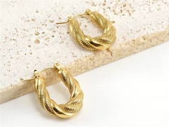 HY Wholesale Jewelry Earrings 316L Stainless Steel Earrings Jewelry-HY0082E0538