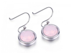 HY Wholesale Jewelry Earrings 316L Stainless Steel Earrings Jewelry-HY0151E1222