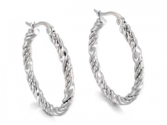 HY Wholesale Jewelry Earrings 316L Stainless Steel Earrings Jewelry-HY0151E0736