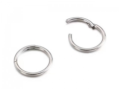 HY Wholesale Jewelry Earrings 316L Stainless Steel Earrings Jewelry-HY0151E0494