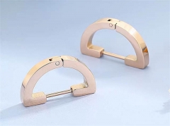 HY Wholesale Jewelry Earrings 316L Stainless Steel Earrings Jewelry-HY0151E0680