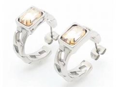 HY Wholesale Jewelry Earrings 316L Stainless Steel Earrings Jewelry-HY0151E0640