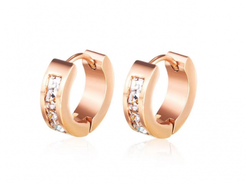 HY Wholesale Jewelry Popular Earrings 316L Stainless Steel Earrings Jewelry-HY0157E0067