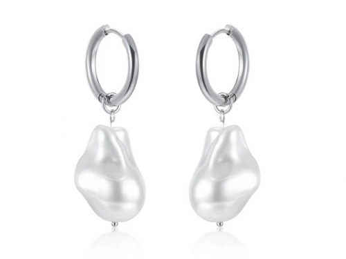 HY Wholesale Jewelry Popular Earrings 316L Stainless Steel Earrings Jewelry-HY0157E0184