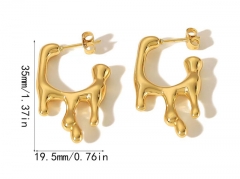 HY Wholesale Jewelry Popular Earrings 316L Stainless Steel Earrings Jewelry-HY0158E0636