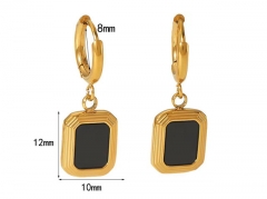 HY Wholesale Jewelry Popular Earrings 316L Stainless Steel Earrings Jewelry-HY0158E0297