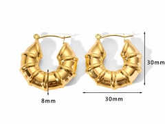 HY Wholesale Jewelry Popular Earrings 316L Stainless Steel Earrings Jewelry-HY0158E0061