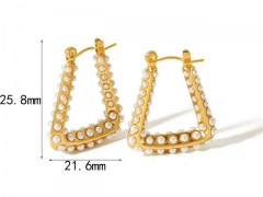 HY Wholesale Jewelry Popular Earrings 316L Stainless Steel Earrings Jewelry-HY0158E0512