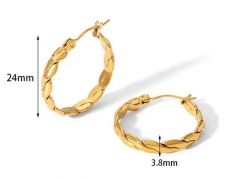 HY Wholesale Jewelry Popular Earrings 316L Stainless Steel Earrings Jewelry-HY0158E0395