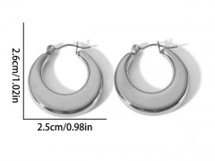 HY Wholesale Jewelry Popular Earrings 316L Stainless Steel Earrings Jewelry-HY0158E0697