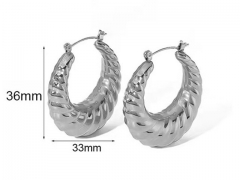 HY Wholesale Jewelry Popular Earrings 316L Stainless Steel Earrings Jewelry-HY0158E0795