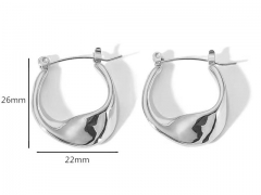 HY Wholesale Jewelry Popular Earrings 316L Stainless Steel Earrings Jewelry-HY0158E0524