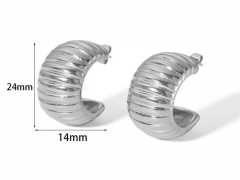 HY Wholesale Jewelry Popular Earrings 316L Stainless Steel Earrings Jewelry-HY0158E0344