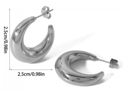 HY Wholesale Jewelry Popular Earrings 316L Stainless Steel Earrings Jewelry-HY0158E0267