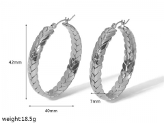 HY Wholesale Jewelry Popular Earrings 316L Stainless Steel Earrings Jewelry-HY0158E0579