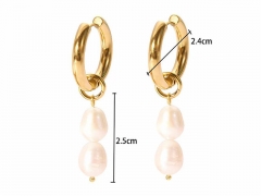 HY Wholesale Jewelry Popular Earrings 316L Stainless Steel Earrings Jewelry-HY0158E0435