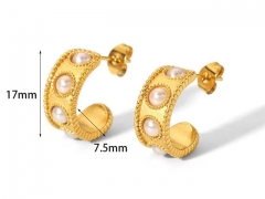 HY Wholesale Jewelry Popular Earrings 316L Stainless Steel Earrings Jewelry-HY0158E0452