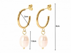 HY Wholesale Jewelry Popular Earrings 316L Stainless Steel Earrings Jewelry-HY0158E0437