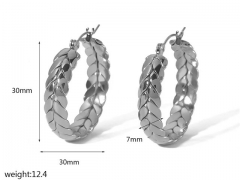 HY Wholesale Jewelry Popular Earrings 316L Stainless Steel Earrings Jewelry-HY0158E0581