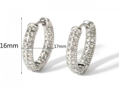 HY Wholesale Jewelry Popular Earrings 316L Stainless Steel Earrings Jewelry-HY0158E0384