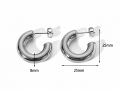 HY Wholesale Jewelry Popular Earrings 316L Stainless Steel Earrings Jewelry-HY0158E0068