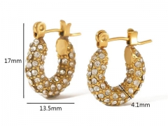 HY Wholesale Jewelry Popular Earrings 316L Stainless Steel Earrings Jewelry-HY0158E0306