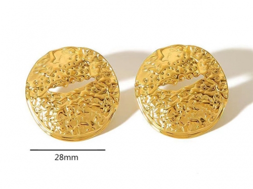 HY Wholesale Jewelry Popular Earrings 316L Stainless Steel Earrings Jewelry-HY0158E0312