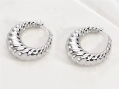 HY Wholesale Jewelry Popular Earrings 316L Stainless Steel Earrings Jewelry-HY0158E0613