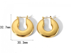 HY Wholesale Jewelry Popular Earrings 316L Stainless Steel Earrings Jewelry-HY0158E0141