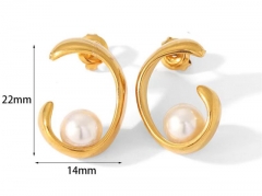 HY Wholesale Jewelry Popular Earrings 316L Stainless Steel Earrings Jewelry-HY0158E0439