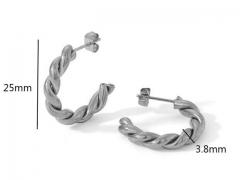 HY Wholesale Jewelry Popular Earrings 316L Stainless Steel Earrings Jewelry-HY0158E0808