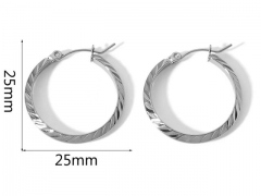 HY Wholesale Jewelry Popular Earrings 316L Stainless Steel Earrings Jewelry-HY0158E0678