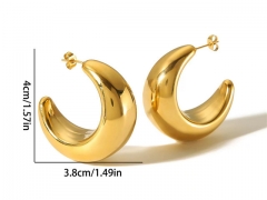 HY Wholesale Jewelry Popular Earrings 316L Stainless Steel Earrings Jewelry-HY0158E0224