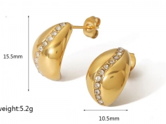 HY Wholesale Jewelry Popular Earrings 316L Stainless Steel Earrings Jewelry-HY0158E0762