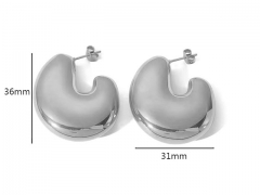 HY Wholesale Jewelry Popular Earrings 316L Stainless Steel Earrings Jewelry-HY0158E0025