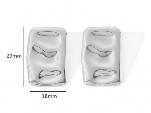 HY Wholesale Jewelry Popular Earrings 316L Stainless Steel Earrings Jewelry-HY0158E0134