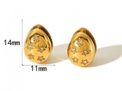 HY Wholesale Jewelry Popular Earrings 316L Stainless Steel Earrings Jewelry-HY0158E0272