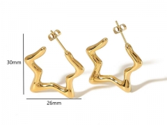 HY Wholesale Jewelry Popular Earrings 316L Stainless Steel Earrings Jewelry-HY0158E0284