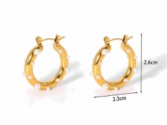 HY Wholesale Jewelry Popular Earrings 316L Stainless Steel Earrings Jewelry-HY0158E0777