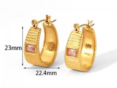 HY Wholesale Jewelry Popular Earrings 316L Stainless Steel Earrings Jewelry-HY0158E0731