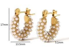 HY Wholesale Jewelry Popular Earrings 316L Stainless Steel Earrings Jewelry-HY0158E0305